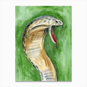 Cobra 1 Canvas Print