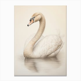 Vintage Bird Drawing Swan 3 Canvas Print