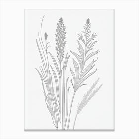 Psyllium Herb William Morris Inspired Line Drawing 3 Canvas Print