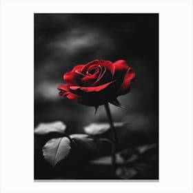 Black And Red Rose 2 Canvas Print