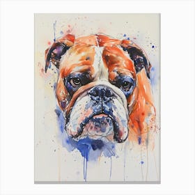 Bulldog Watercolor Painting 2 Canvas Print