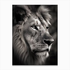 Lion in the Wild Canvas Print