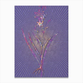 Geometric Ixia Secunda Mosaic Botanical Art on Veri Peri n.0088 Canvas Print