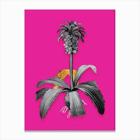 Vintage Eucomis Regia Black and White Gold Leaf Floral Art on Hot Pink n.0870 Canvas Print