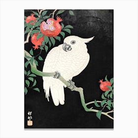 Cockatoo And Pomegranate, Ohara Koson Canvas Print