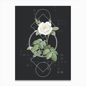 Vintage White Rose Botanical with Geometric Line Motif and Dot Pattern n.0197 Canvas Print