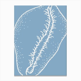 Blue And Cream Seashell Canvas Print