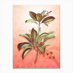 Greek Strawberry Tree Vintage Botanical in Peach Fuzz Asanoha Star Pattern n.0028 Canvas Print
