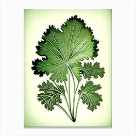 Parsley Leaf Vintage Botanical Canvas Print