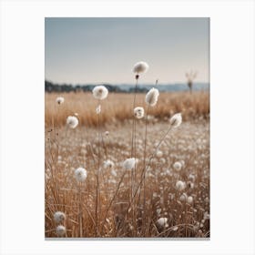 Cotton Field Canvas Print