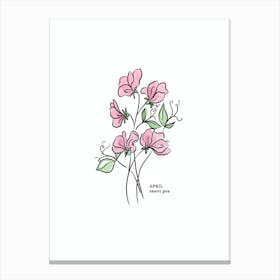 April Sweet Pea Birth Flower Canvas Print