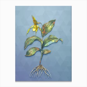 Vintage Yellow Lady's Slipper Orchid Botanical Art on Summer Song Blue n.0998 Canvas Print
