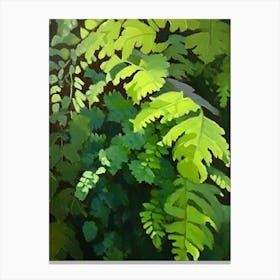 Maidenhair Fern Cézanne Style Canvas Print