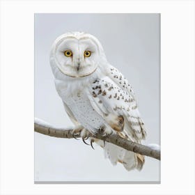 Snowy Owl Canvas Print