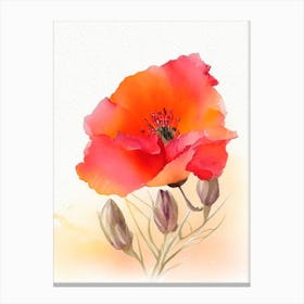 Desert Poppy Wildflower Watercolour 2 Canvas Print