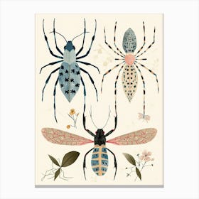 Colourful Insect Illustration Spider 4 Canvas Print