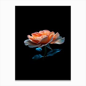 Rose Wallpaper Canvas Print