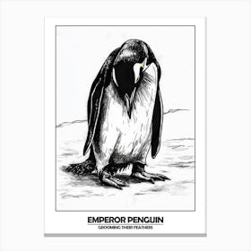 Penguin Grooming Their Feathers Poster 1 Canvas Print