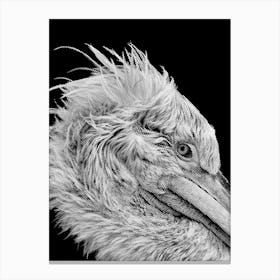 Pelican Line Art Canvas Print