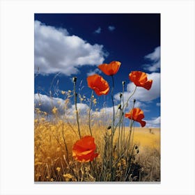 Poppies In The Field 7 Canvas Print