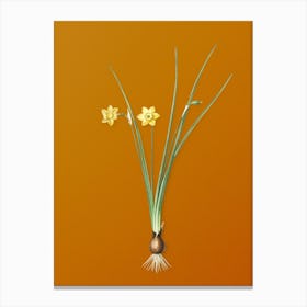 Vintage Daffodil Botanical on Sunset Orange Canvas Print