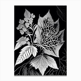 Viburnum Leaf Linocut Canvas Print