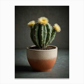 Cactus In A Pot Canvas Print