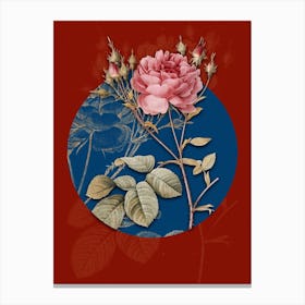 Vintage Botanical Pink Cumberland Rose on Circle Blue on Red n.0138 Canvas Print