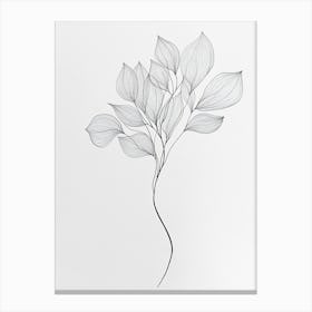 Lilacs Canvas Print