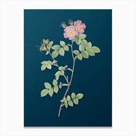 Vintage Pink Sweetbriar Roses Botanical Art on Teal Blue n.0207 Canvas Print