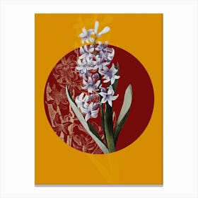 Vintage Botanical Dutch Hyacinth Hyacinthus orientalis on Circle Red on Yellow n.0041 Canvas Print