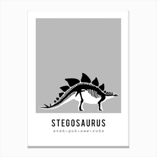 Stegosaurus Dinosaur Skeleton Fossil Canvas Print