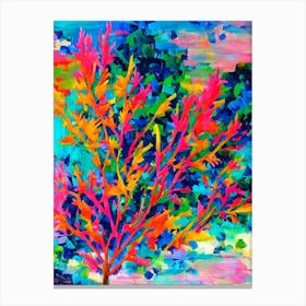 Acropora Horrida Vibrant Painting Canvas Print