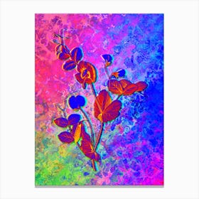 White Pea Flower Botanical in Acid Neon Pink Green and Blue n.0021 Canvas Print