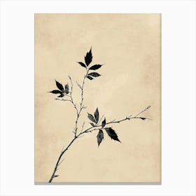 Athens Flower Market Boho Minimalist Style Canvas Print