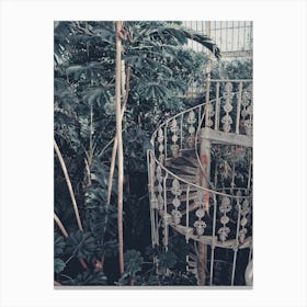 Conservatory Stairs Canvas Print