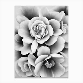Camellia B&W Pencil 5 Flower Canvas Print