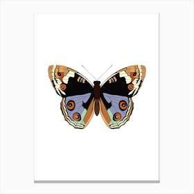 American Lady Butterfly Canvas Print