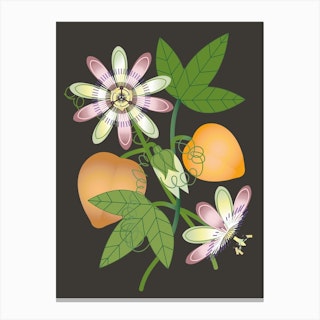 Passiflora Poster I Canvas Print