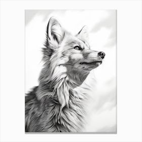 Tibetan Sand Fox Portrait Pencil Drawing 5 Canvas Print