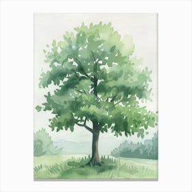 Lime Tree Atmospheric Watercolour Painting 1 Canvas Print