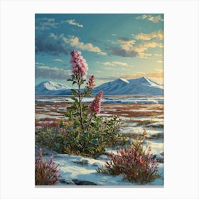 Spruce Canvas Print