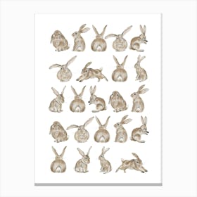 Easter Bunnies Toile