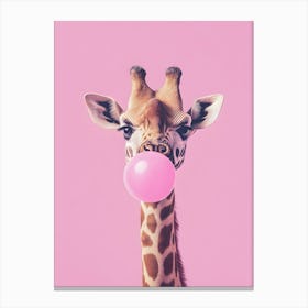 Giraffe Chewing Gum Canvas Print