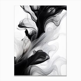 Fluid Dynamics Abstract Black And White 3 Canvas Print