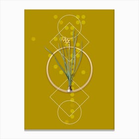 Vintage Rush Leaf Jonquil Botanical with Geometric Line Motif and Dot Pattern n.0067 Canvas Print