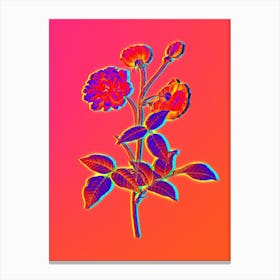 Neon China Rose Botanical in Hot Pink and Electric Blue n.0538 Canvas Print