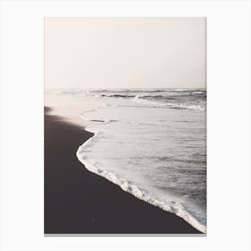 Black Sand Beach Canvas Print