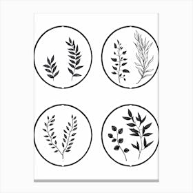 Collection Of Plants In Black And White Line Art 2 Canvas Print