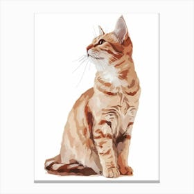 American Wirehair Cat Clipart Illustration 7 Canvas Print